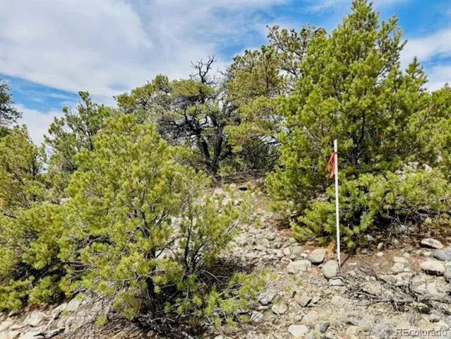 14 NN18 STREET Blanca, CO 81123