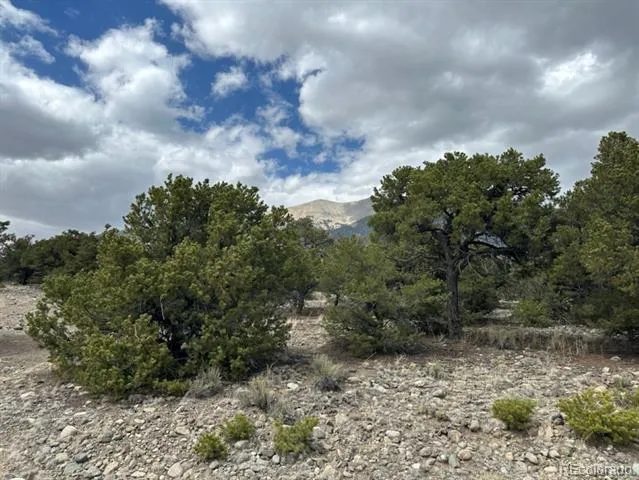 14 NN18 STREET Blanca, CO 81123