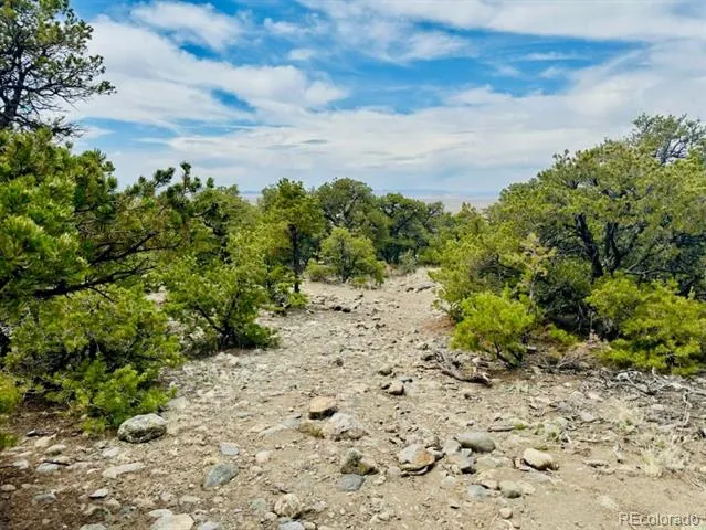 14 NN18 STREET Blanca, CO 81123