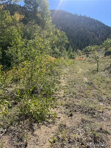 Hwy 285 South Poncha Springs, CO 81242