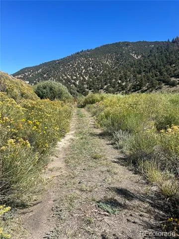Hwy 285 South Poncha Springs, CO 81242