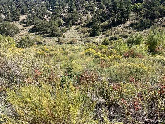 Hwy 285 South Poncha Springs, CO 81242