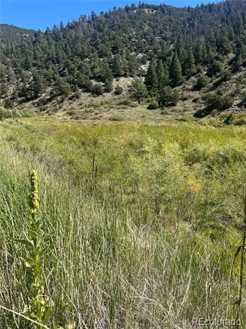 Hwy 285 South Poncha Springs, CO 81242