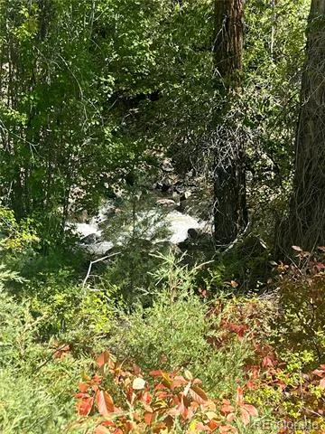 Hwy 285 South Poncha Springs, CO 81242