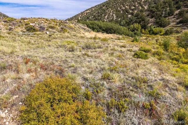 Hwy 285 South Poncha Springs, CO 81242
