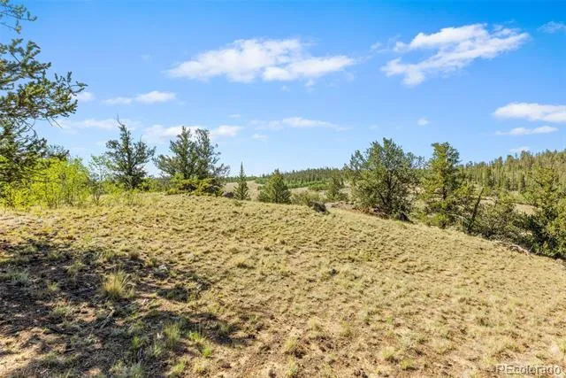 64 Carbine Road Jefferson, CO 80456