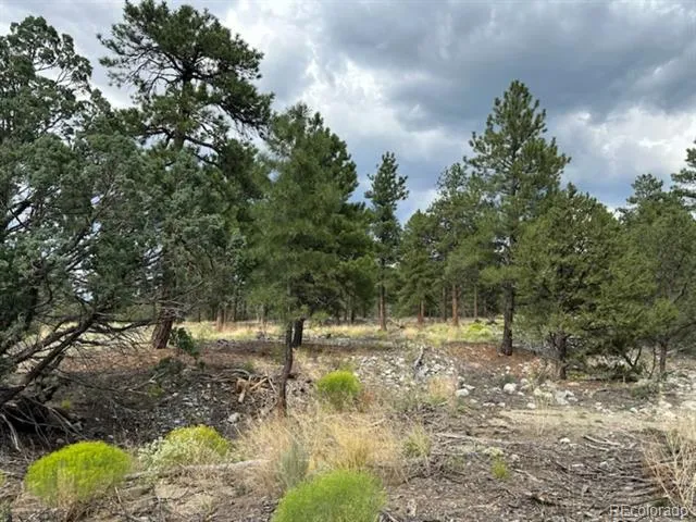 22 Cub Creek Road Mosca, CO 81146