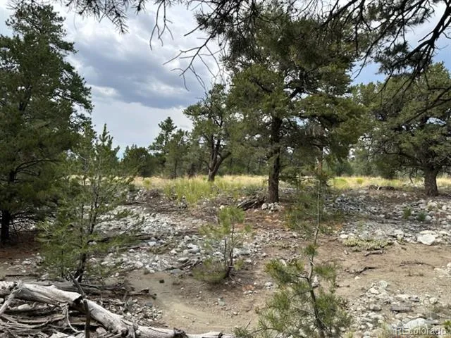 22 Cub Creek Road Mosca, CO 81146