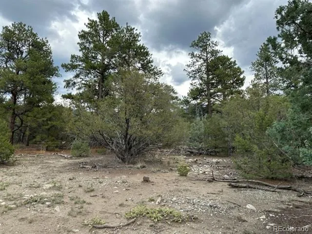 22 Cub Creek Road Mosca, CO 81146