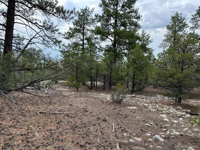 22 Cub Creek Road Mosca, CO 81146