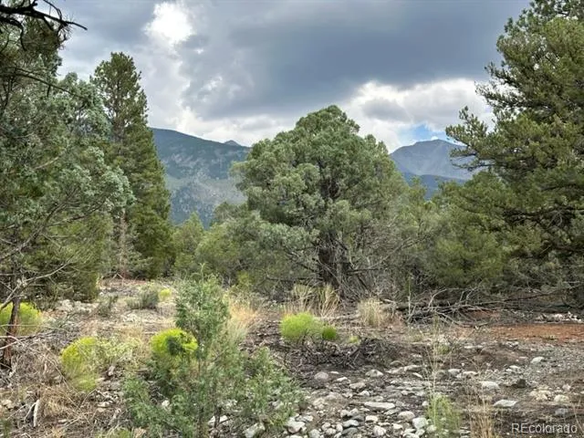 22 Cub Creek Road Mosca, CO 81146