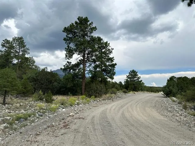 22 Cub Creek Road Mosca, CO 81146