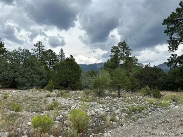 22 Cub Creek Road Mosca, CO 81146