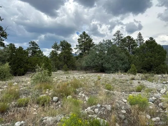 22 Cub Creek Road Mosca, CO 81146