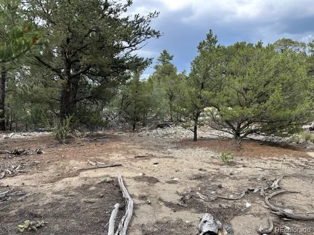 22 Cub Creek Road Mosca, CO 81146