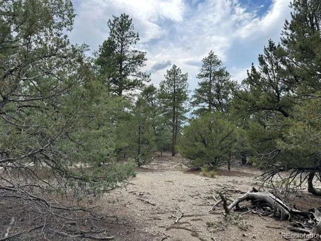 22 Cub Creek Road Mosca, CO 81146