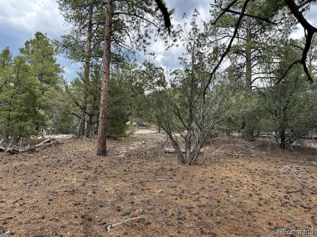 22 Cub Creek Road Mosca, CO 81146