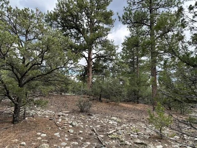 22 Cub Creek Road Mosca, CO 81146