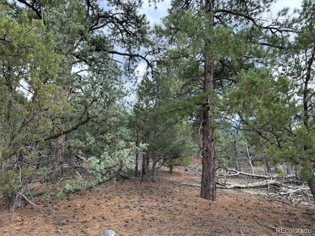 22 Cub Creek Road Mosca, CO 81146