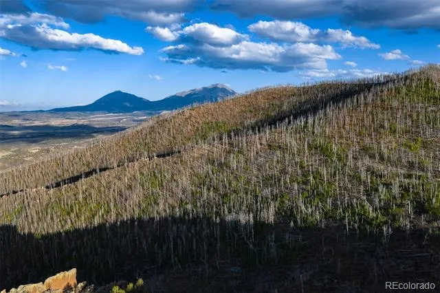 600 Acres La Veta, CO 81055
