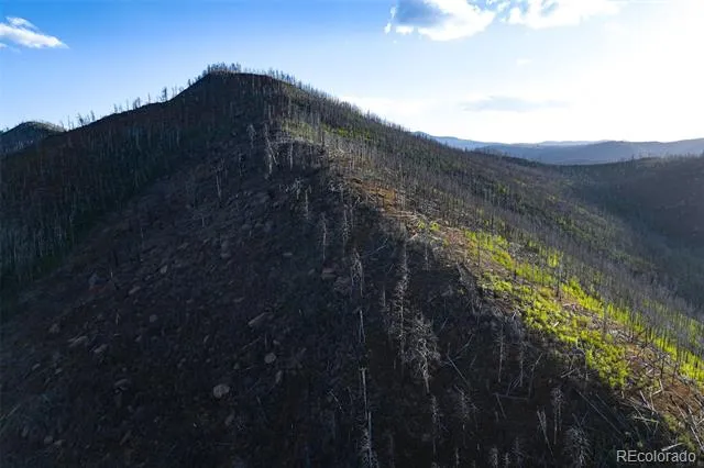 600 Acres La Veta, CO 81055