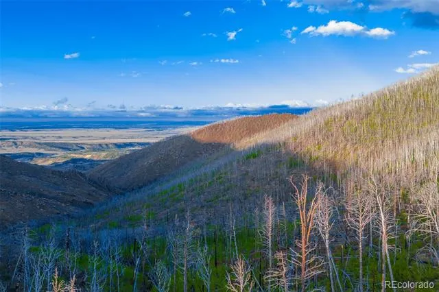 600 Acres La Veta, CO 81055