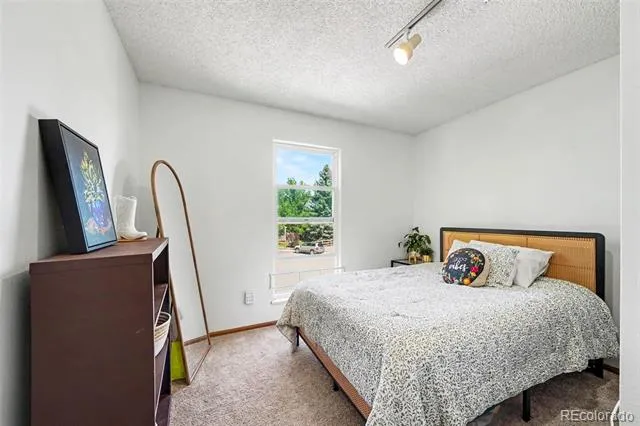 1065 S Lindsey Street Castle Rock, CO 80104