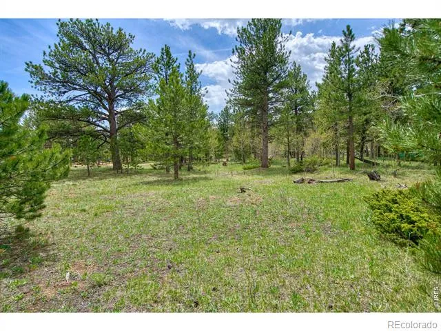 73 Sparn Way Ward, CO 80481