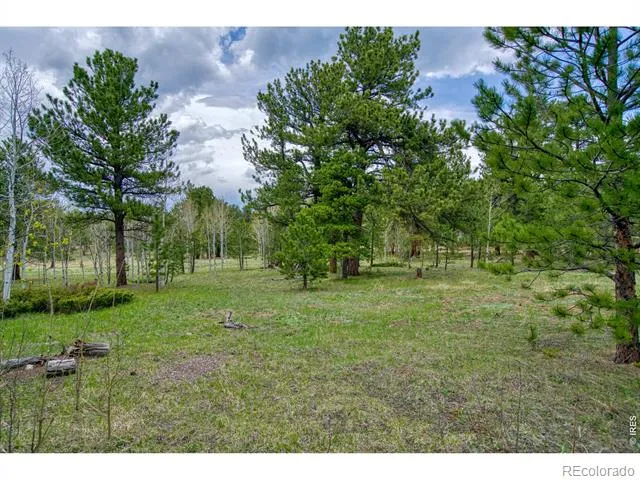 73 Sparn Way Ward, CO 80481