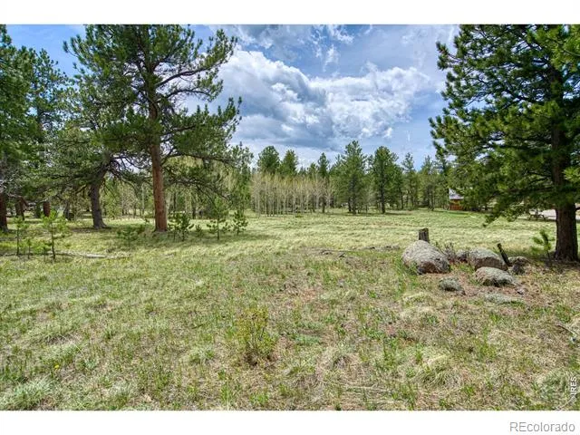 73 Sparn Way Ward, CO 80481