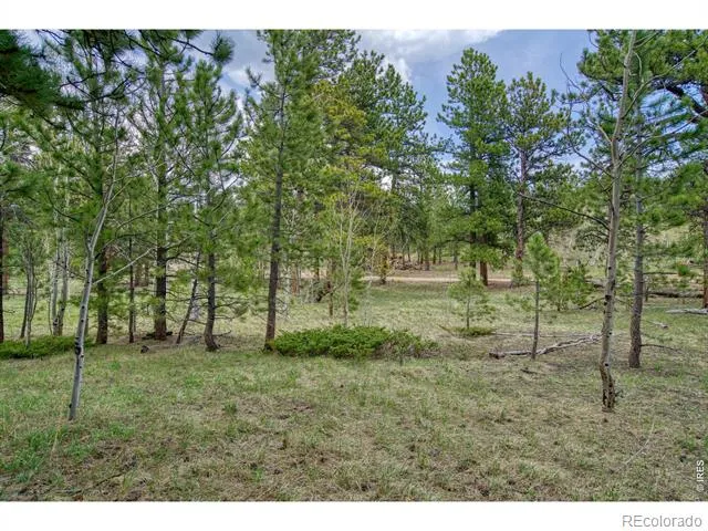 73 Sparn Way Ward, CO 80481