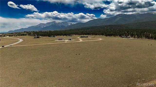31308 N Meadow Way Buena Vista, CO 81211
