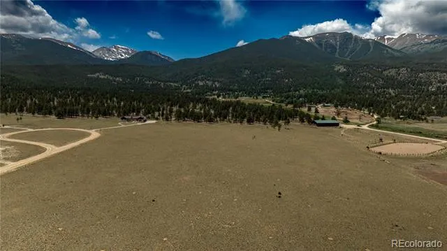 31308 N Meadow Way Buena Vista, CO 81211