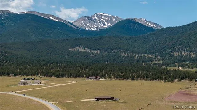 31308 N Meadow Way Buena Vista, CO 81211