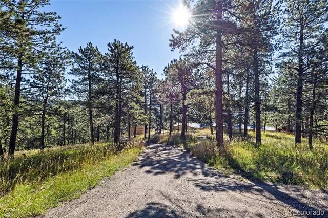 3942 S Palo Verde Road Evergreen, CO 80439