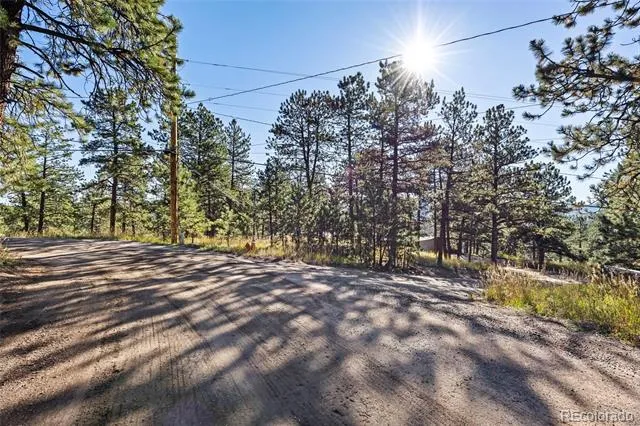 3942 S Palo Verde Road Evergreen, CO 80439