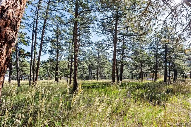 3942 S Palo Verde Road Evergreen, CO 80439