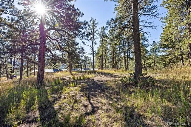 3942 S Palo Verde Road Evergreen, CO 80439