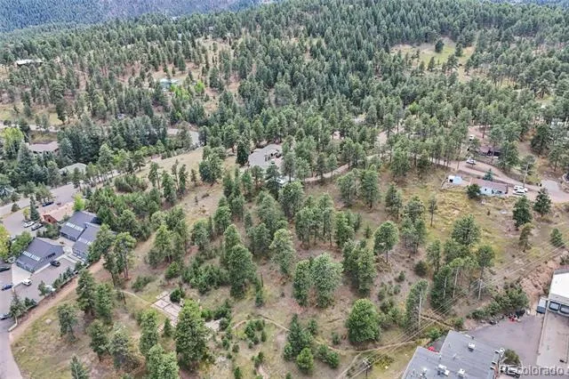 3942 S Palo Verde Road Evergreen, CO 80439