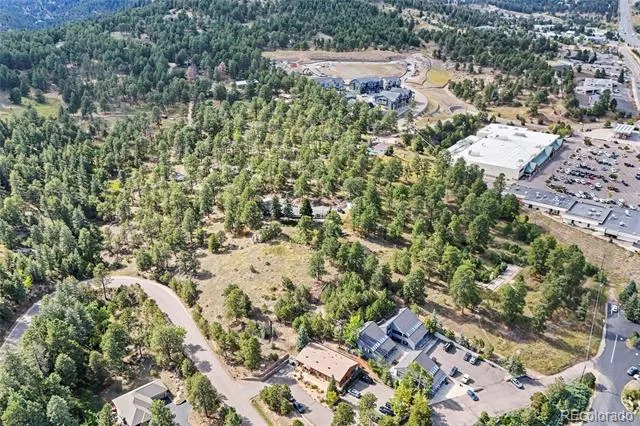 3942 S Palo Verde Road Evergreen, CO 80439