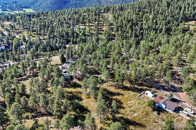 3942 S Palo Verde Road Evergreen, CO 80439