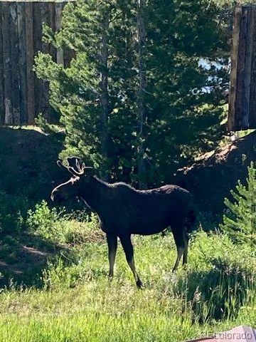 10658 US Highway 34 Grand Lake, CO 80447