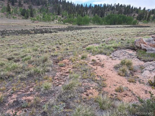 80 Longbow Court Jefferson, CO 80456