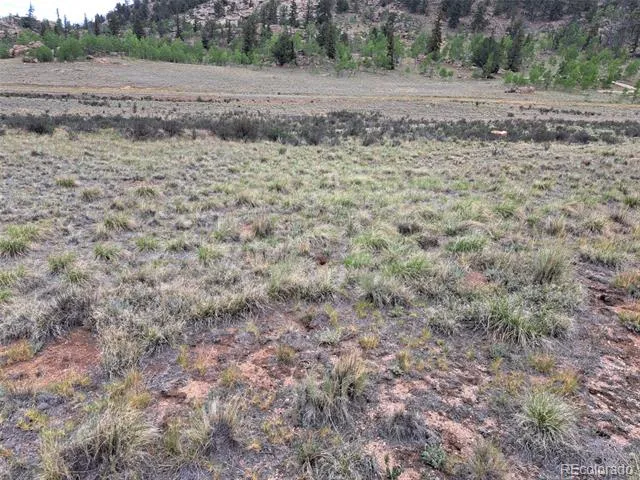 80 Longbow Court Jefferson, CO 80456