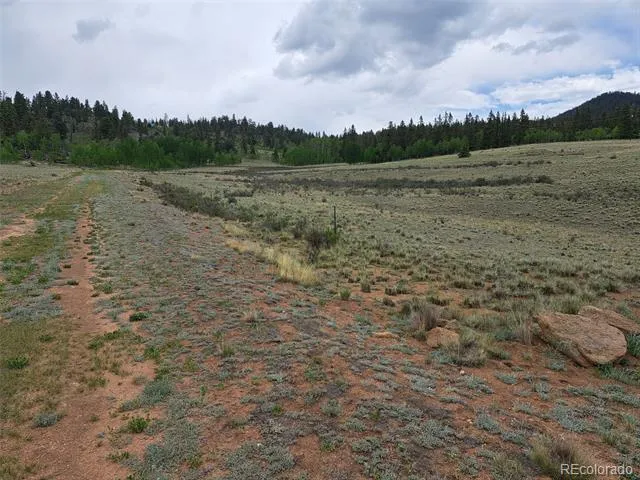 80 Longbow Court Jefferson, CO 80456