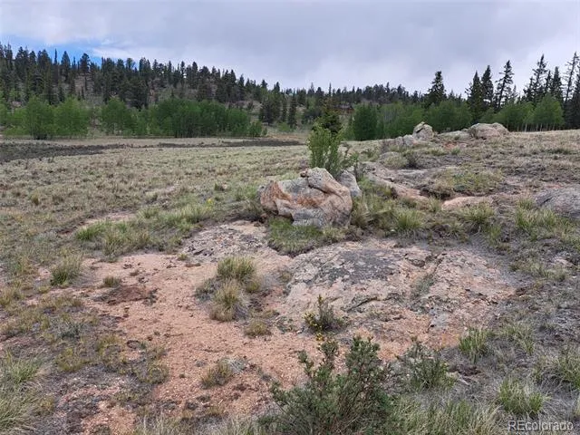 80 Longbow Court Jefferson, CO 80456