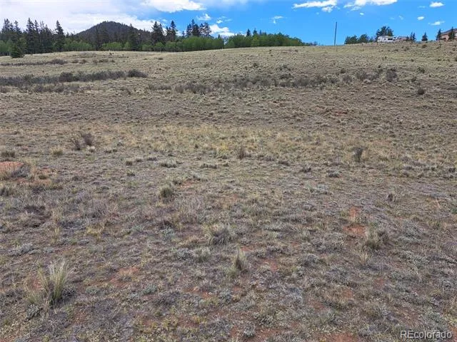 80 Longbow Court Jefferson, CO 80456