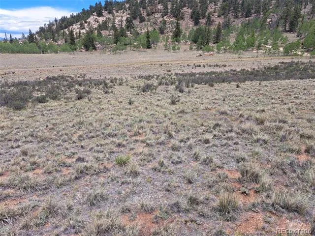 80 Longbow Court Jefferson, CO 80456
