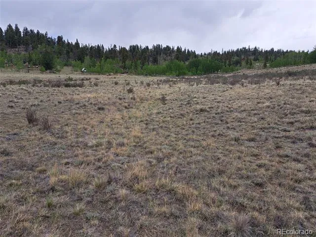 80 Longbow Court Jefferson, CO 80456