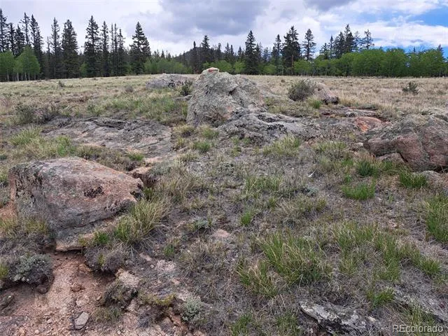 80 Longbow Court Jefferson, CO 80456